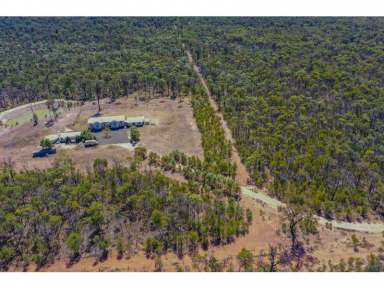 Farm For Sale - QLD - Miles - 4415 - Luxury living in the country  (Image 2)