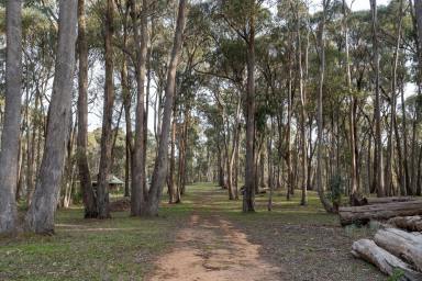 Farm Sold - VIC - Strathbogie - 3666 - "Fossil Downs"  (Image 2)