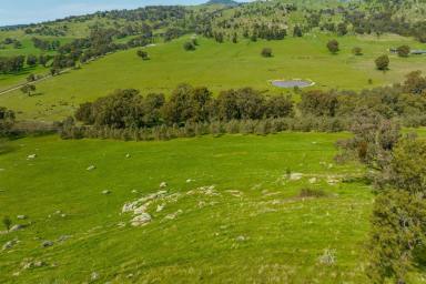 Farm For Sale - VIC - Sheans Creek - 3666 - Exceptional Views and Granite Boulders in Picturesque Sheans Creek  (Image 2)