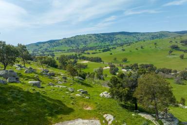 Farm For Sale - VIC - Sheans Creek - 3666 - Exceptional Views and Granite Boulders in Picturesque Sheans Creek  (Image 2)