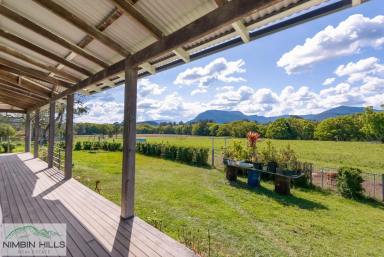 Farm For Sale - NSW - Nimbin - 2480 - Three Titles, Two Houses, Endless Opportunities!  (Image 2)