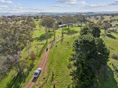 Farm Sold - NSW - Wallaroo - 2618 - Deceased Estate - Country Sanctuary On City Doorstep  (Image 2)