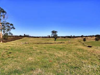 Farm For Sale - VIC - Sarsfield - 3875 - ACERAGE AT SARSFIELD  (Image 2)