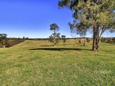 Farm For Sale - VIC - Sarsfield - 3875 - ACERAGE AT SARSFIELD  (Image 2)
