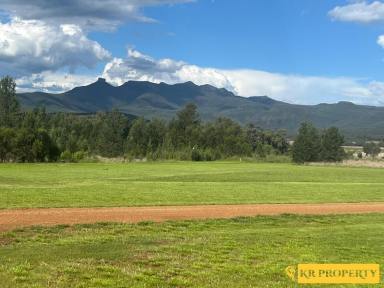 Farm For Sale - NSW - Bullawa Creek - 2390 - TWO HOMES, FANTASTIC SHEDS ON 40 ACRES WITH VIEWS!  (Image 2)