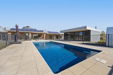 Farm Sold - VIC - Ross Creek - 3351 - Superb Lifestyle Property On The Edge Of Ballarat  (Image 2)