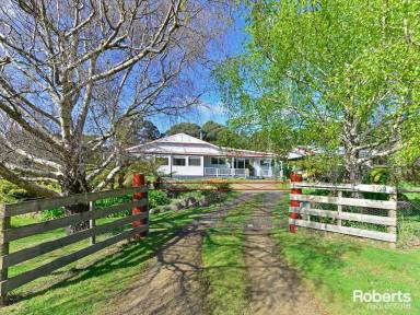 Farm Sold - TAS - Kettering - 7155 - Peaceful and Tranquil Setting  (Image 2)