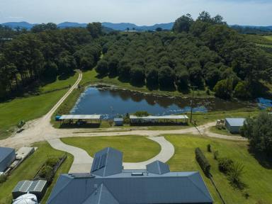 Farm For Sale - NSW - The Channon - 2480 - 'CHANOOK' One Of Macadamia Country's Finest Properties  (Image 2)