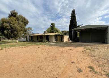 Farm Sold - VIC - Nyah - 3594 - A piece of paradise  (Image 2)