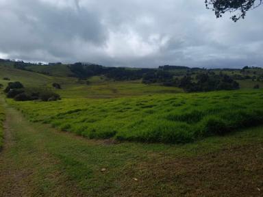 Farm Sold - QLD - Barrine - 4872 - UNMATCHED BEAUTY ON THE ATHERTON TABLELANDS  (Image 2)
