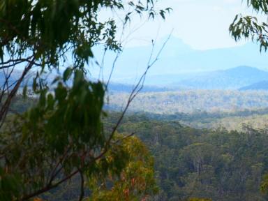 Farm For Sale - NSW - Drake - 2469 - TOUCH THE SKY !  (Image 2)