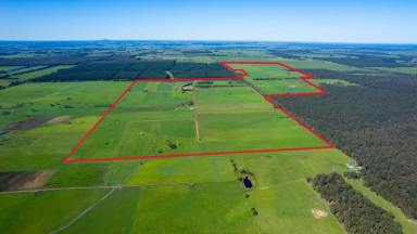 Farm For Sale - VIC - Condah - 3303 - Family Operated Grass Growing Dairy Farm with Irrigation  (Image 2)