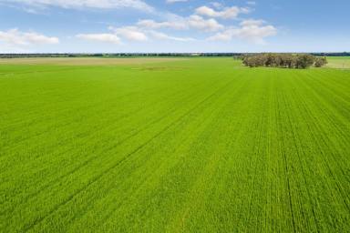 Farm Sold - VIC - Diggora - 3561 - By Auction Friday 20th October, 11am  (Image 2)