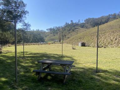 Farm For Sale - nsw - Stewarts Brook - 2337 - 2 Acres Fronting The Creek  (Image 2)