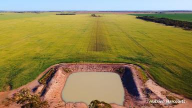 Farm For Sale - WA - Koorda - 6475 - 'Marlow' Koorda  *Under Offer*  (Image 2)