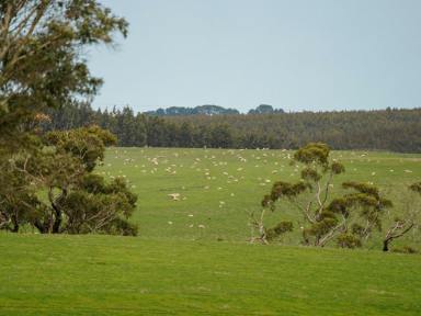 Farm For Sale - VIC - Nareen - 3315 - " Kowarna"  864.27 Acres - 349.76 Hectares  (Image 2)