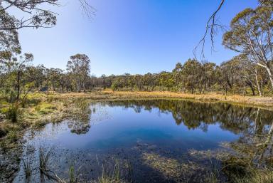 Farm For Sale - NSW - Bungonia - 2580 - 25 ACRE RETREAT, NATURE LOVERS DELIGHT, 3 BR HOME ON SEALED ROAD, 3 DAMS, SOLAR  POWER, NBN, ROAD FRONTAGE< PEACE & QUIET, HANDYMAN'S DELIGHT!  (Image 2)