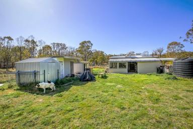 Farm For Sale - NSW - Bungonia - 2580 - 25 ACRE RETREAT, NATURE LOVERS DELIGHT, 3 BR HOME ON SEALED ROAD, 3 DAMS, SOLAR  POWER, NBN, ROAD FRONTAGE< PEACE & QUIET, HANDYMAN'S DELIGHT!  (Image 2)