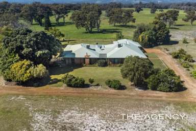 Farm Sold - WA - Mardella - 6125 - Horse and Cattle Country  (Image 2)