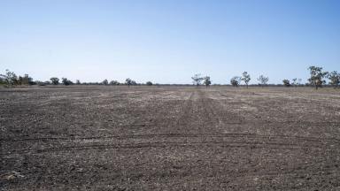 Farm For Sale - NSW - Rowena - 2387 - Self Mulching Black Soil  (Image 2)