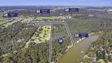 Farm Sold - NSW - Moama - 2731 - On the River in the middle of town, are you serious!!  (Image 2)