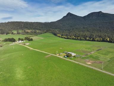 158 Lees Road, Western Creek TAS 7304