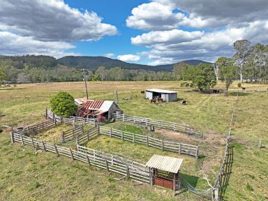 Farm For Sale - NSW - Marlee - 2429 - FINALISATION OF ESTATE  (Image 2)