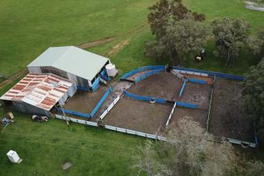 Farm Sold - WA - Youngs Siding - 6330 - McIntosh Farms  (Image 2)