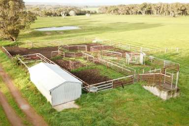 Farm Sold - WA - Youngs Siding - 6330 - Prime Grazing Opportunity  (Image 2)