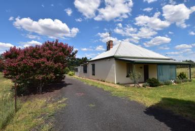 Farm For Sale - NSW - Wellington - 2820 - Bell Cottage - Lifestyle River Flats Small Holding  (Image 2)