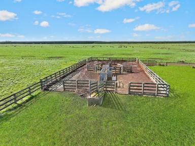 Farm Sold - VIC - Irrewillipe - 3249 - TOP CLASS COLAC DISTRICT COUNTRY  (Image 2)