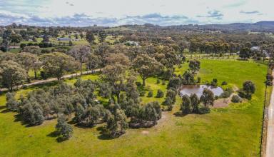 Farm For Sale - VIC - Heathcote - 3523 - 5.5 ACRES OF SERENITY ON A TRANQUIL LANE  (Image 2)