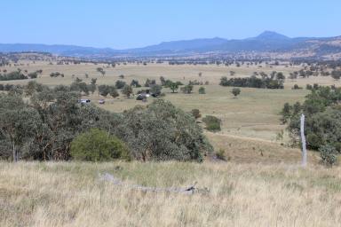 Farm Sold - NSW - Narrabri - 2390 - Upper Horton Grazing  (Image 2)