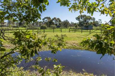 Farm Sold - WA - Herne Hill - 6056 - Self Sufficient & Equine Excellence  (Image 2)