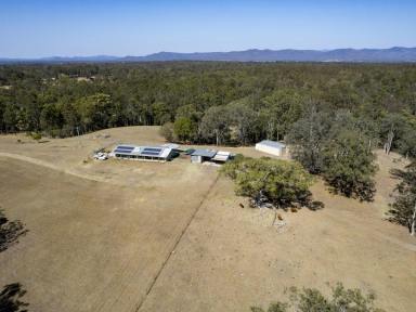 Farm For Sale - NSW - Deep Creek - 2440 - Rural Lifestyle Awaits on 80Ha (200Ac) with Large Hardi-Plank Home  (Image 2)