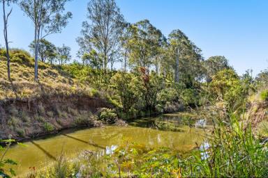 Farm Sold - QLD - Patrick Estate - 4311 - Abundant Water on Somerset Acreage  (Image 2)