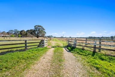 Farm For Sale - VIC - Munro - 3862 - “All of the key ingredients are already in place for you to build your dream”  (Image 2)
