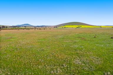 Farm For Sale - VIC - Smeaton - 3364 - High Quality Grazing & Conservation Opportunity  (Image 2)