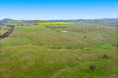 Farm For Sale - VIC - Smeaton - 3364 - High Quality Grazing & Conservation Opportunity  (Image 2)
