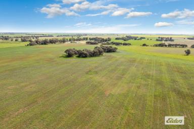 Farm Sold - VIC - Dingee - 3571 - Productive Cropping, Grazing and Fodder Production – 73 Ha / 180 Ac  (Image 2)