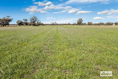 Farm Sold - VIC - Dingee - 3571 - Productive Cropping, Grazing and Fodder Production – 73 Ha / 180 Ac  (Image 2)