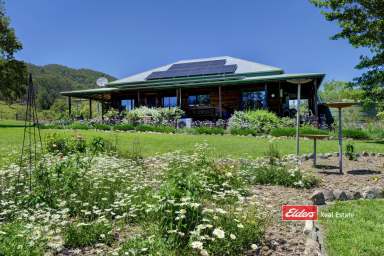 Farm For Sale - NSW - Gloucester - 2422 - BULLEN BULLEN COTTAGE & LIFESTYLE FARM  (Image 2)