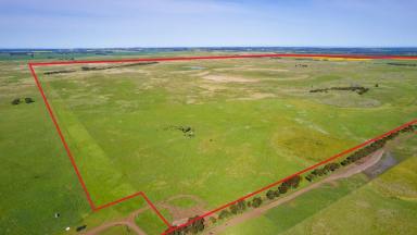 Farm Sold - VIC - Mingay - 3324 - Large Standalone Secure Rainfall Grazing Asset – Ideal for Absentee Owner  (Image 2)