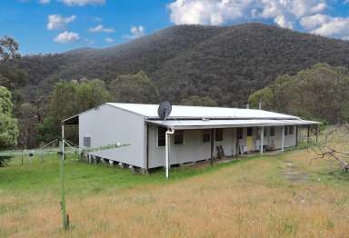 Farm Sold - VIC - Tubbut - 3888 - Country Retreat  (Image 2)