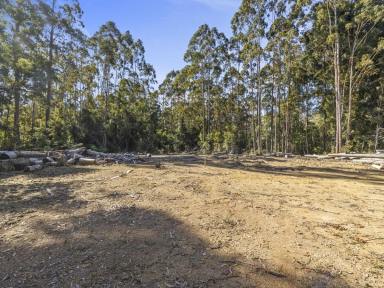 Farm For Sale - NSW - Ulong - 2450 - Love Ulong Time  (Image 2)