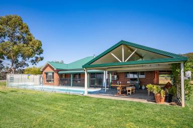 Farm Sold - NSW - Cowra - 2794 - 316ACRES*, MODERN FAMILY HOME, EXCELLENT INFRASTRUCTURE!  (Image 2)