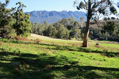 Farm For Sale - TAS - Paradise - 7306 - Quality acreage for lifestyle and mixed farming  (Image 2)