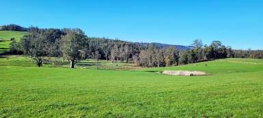 Farm For Sale - TAS - Paradise - 7306 - Quality acreage for lifestyle and mixed farming  (Image 2)