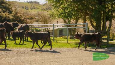 Farm Sold - NSW - Oberon - 2787 - Safe, High Rainfall Country, Blue Ribbon Location
406-408 Oconnell Road, OBERON  (Image 2)