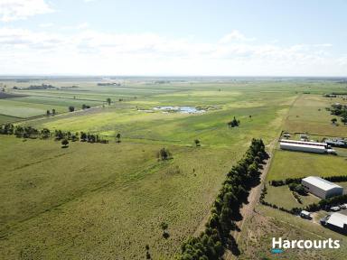 Farm For Sale - QLD - Moore Park Beach - 4670 - Moore Park Beach at your back yard  (Image 2)